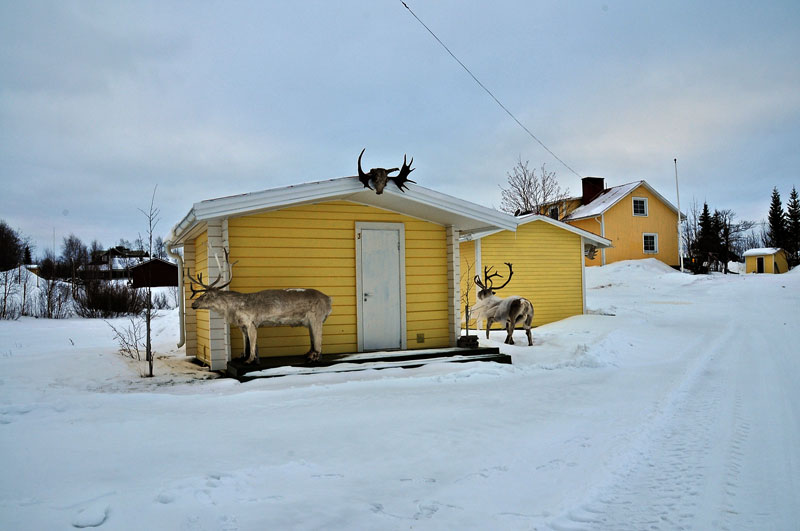 Scandinavie, Suede, Norvege, Finlande
